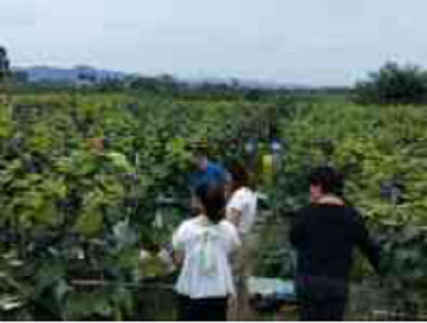 TIM图片20190920103949.png TIM图片20190920103949.png